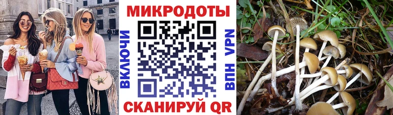 Псилоцибиновые грибы Psilocybine cubensis  Суровикино 